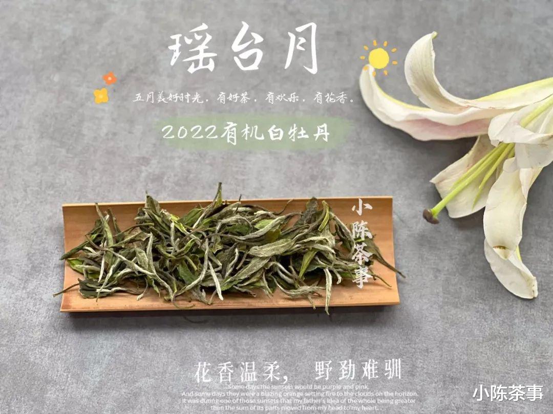 冬天宜喝老茶、熟茶、全发酵茶，但不能喝新白茶，是不是这样？
