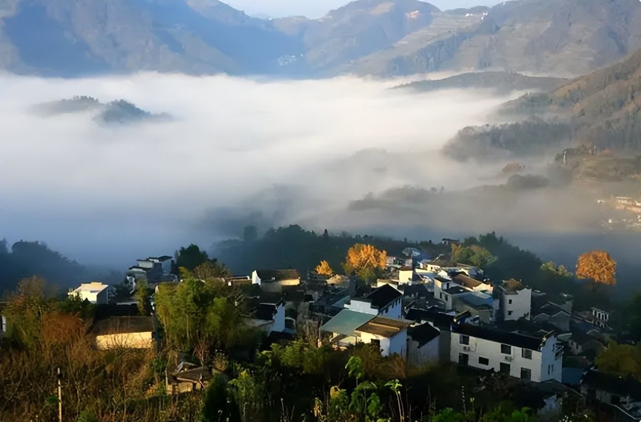 柿子|秋风起，秋色染，雾里乡村——坡山秋景美如画，皖南！