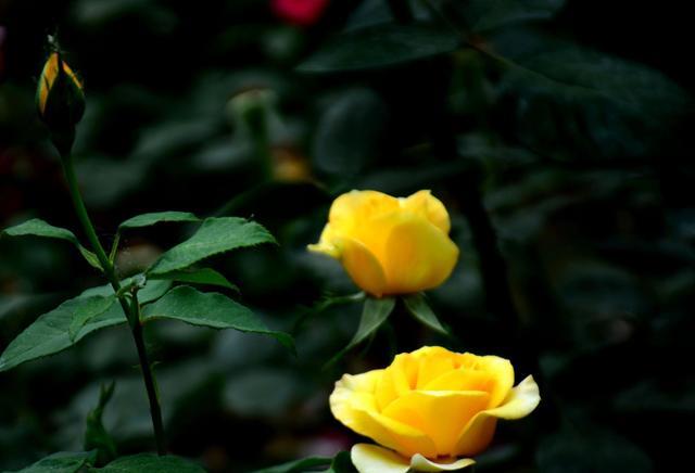 |时光里的自由自在