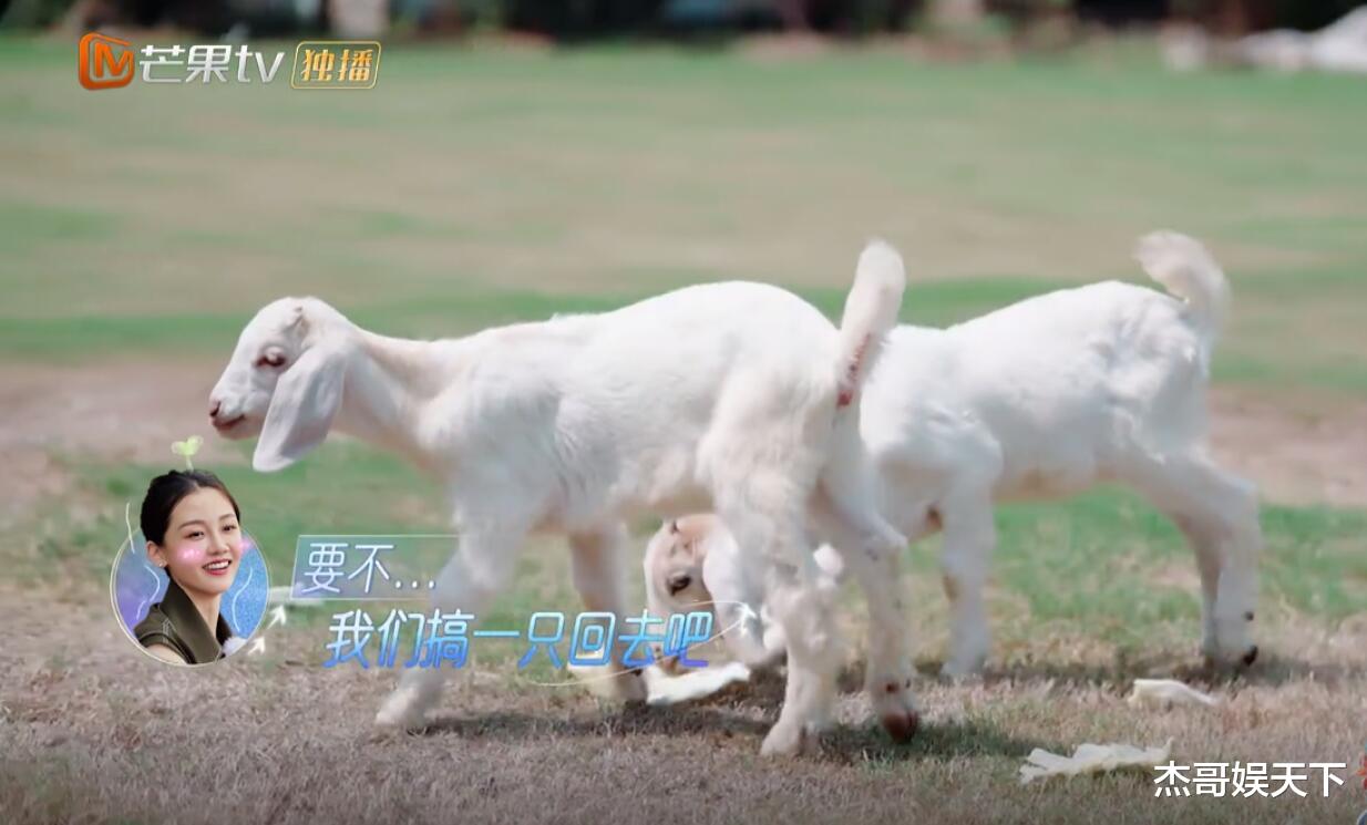 郑恺|郑恺，你这次总算是堵上了那些黑粉的嘴