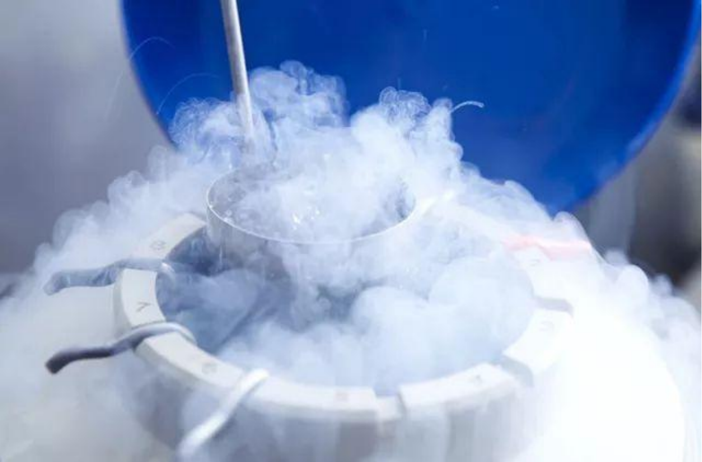 零下196℃的液氮到底有多可怕?与人接触后的变化让人惊讶