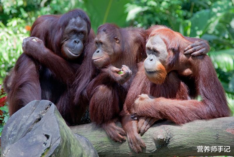 运动|“坐以待毙综合征”,因懒而生的“现代病”,代价十分昂贵