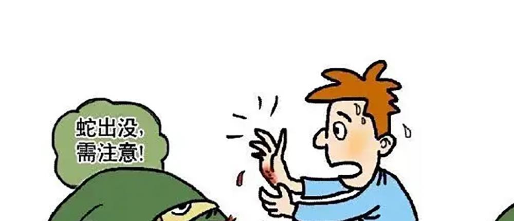 农村人口中常说土呆子蛇是什么蛇?它们的毒液毒性又如何呢?
