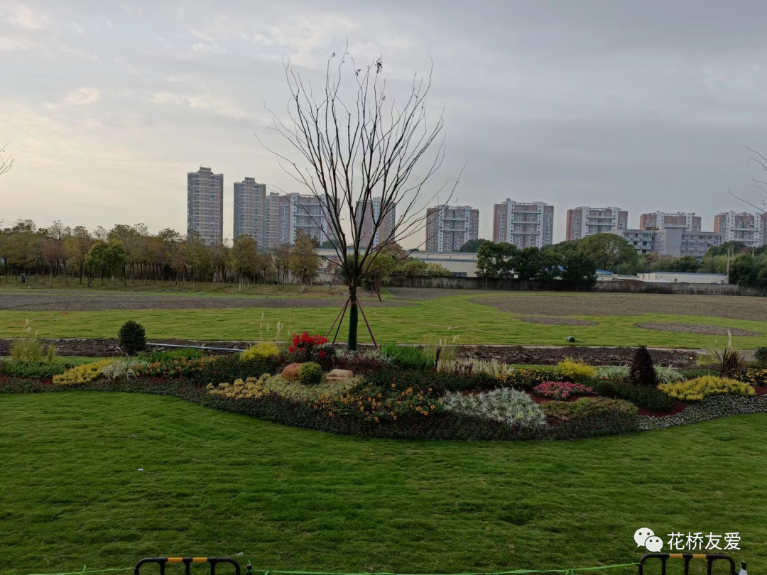 上海市|上海地铁11号线花桥地铁站布置景观绿植