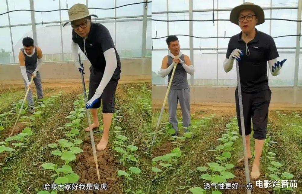 明星|5位退出娱乐圈去种田的明星,如今做得风生水起,一个个都很厉害