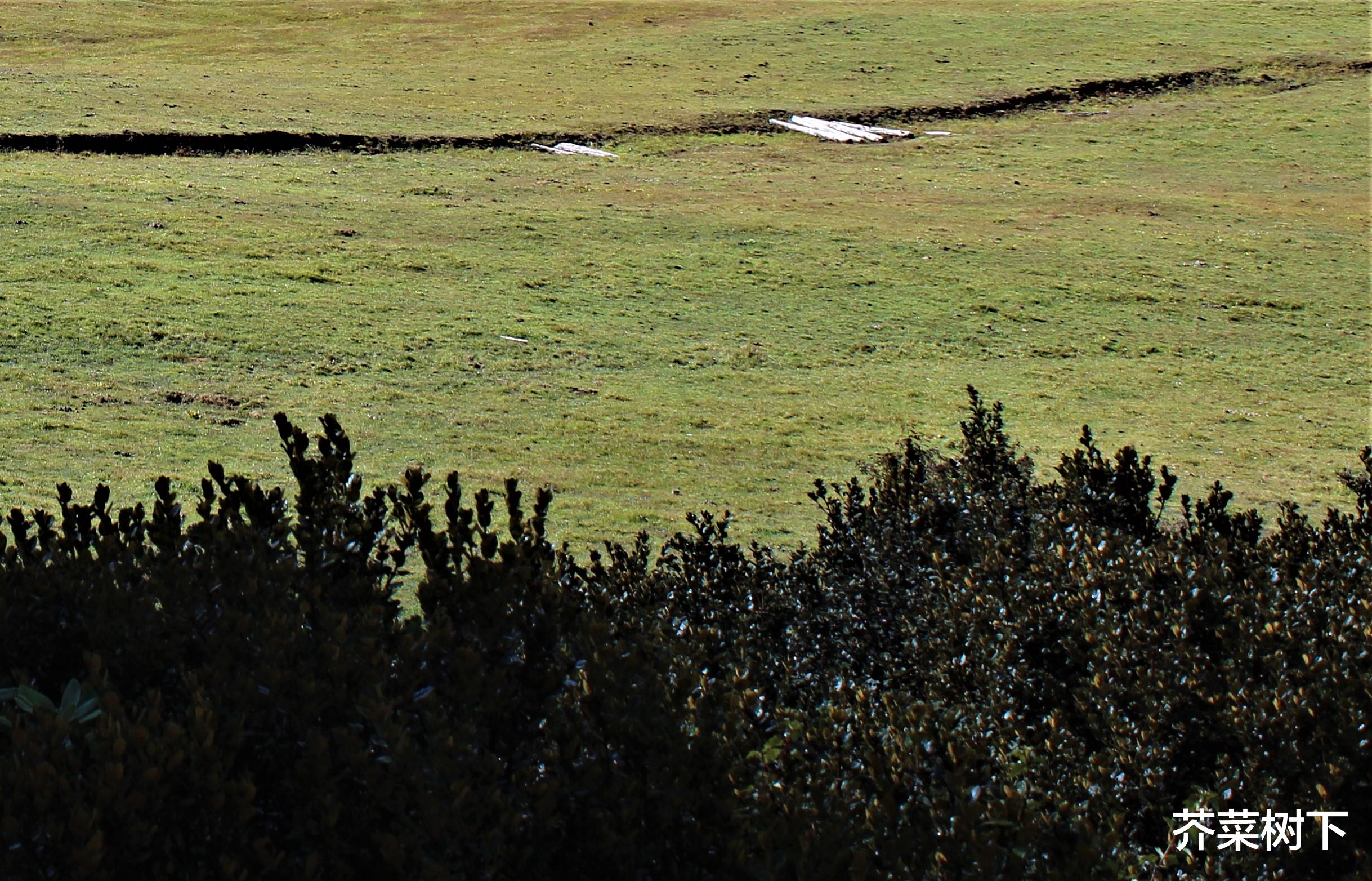 鸿博股份|又见职场巨婴?放下助人心态