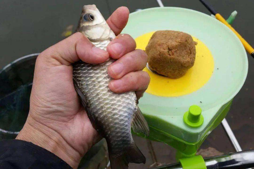 深水区|寒冬野钓选钓点，除了地形和地貌，还得看准风向和朝向