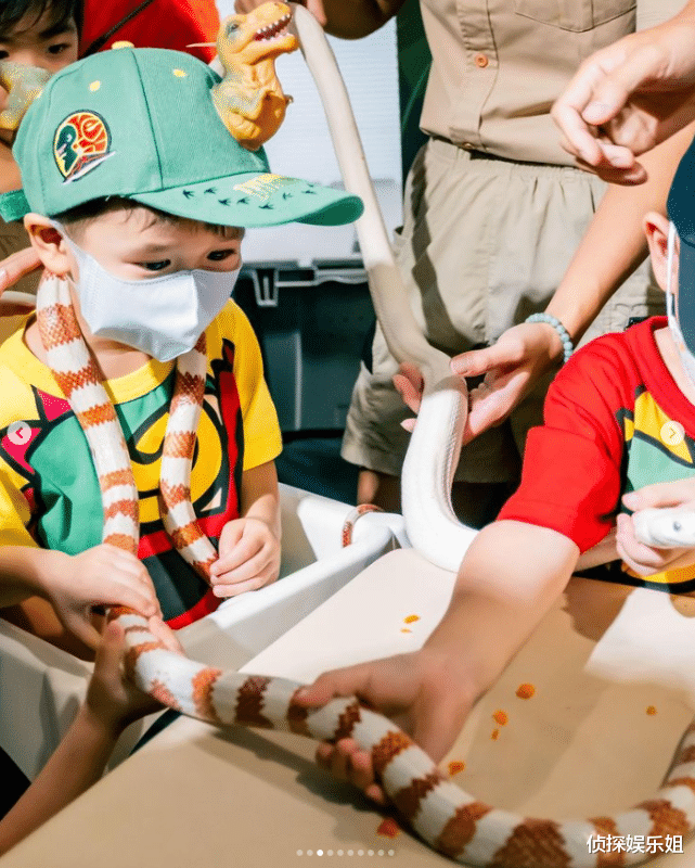 胡杏儿|胡杏儿庆祝二胎儿子满3岁,奕霖和哥哥捉蛇、玩蜘蛛,超勇敢