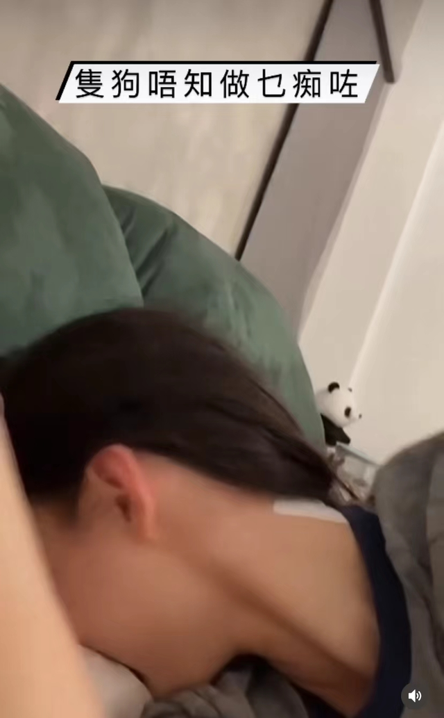 张馨予|42岁张柏芝与狗同眠,玩耍时意外被咬伤,躺床上一脸痛苦尖叫不断
