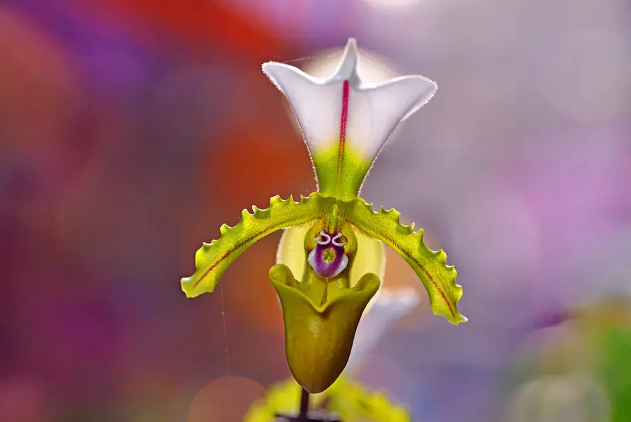 |职场新人最容易犯的3个错误!