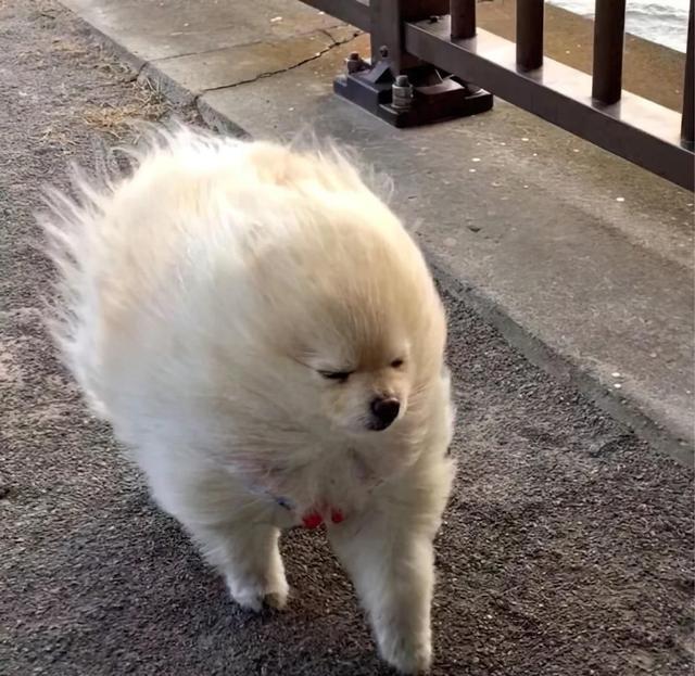 hr|找工作面试我问HR是否双休，HR：“有能耐去考公，别来这面试”