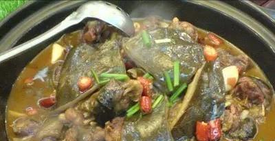 鲫鱼|广西一男子野钓收获10斤大甲鱼，想放生却被阻止，原来是外来物种