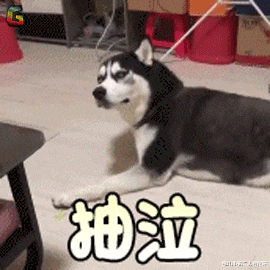 秋燥来势汹汹,六招教你对付它!