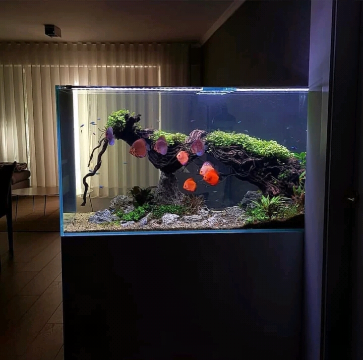 初衷,是为了提升生活品质,没想到后来却沦为鸡肋的9款家居