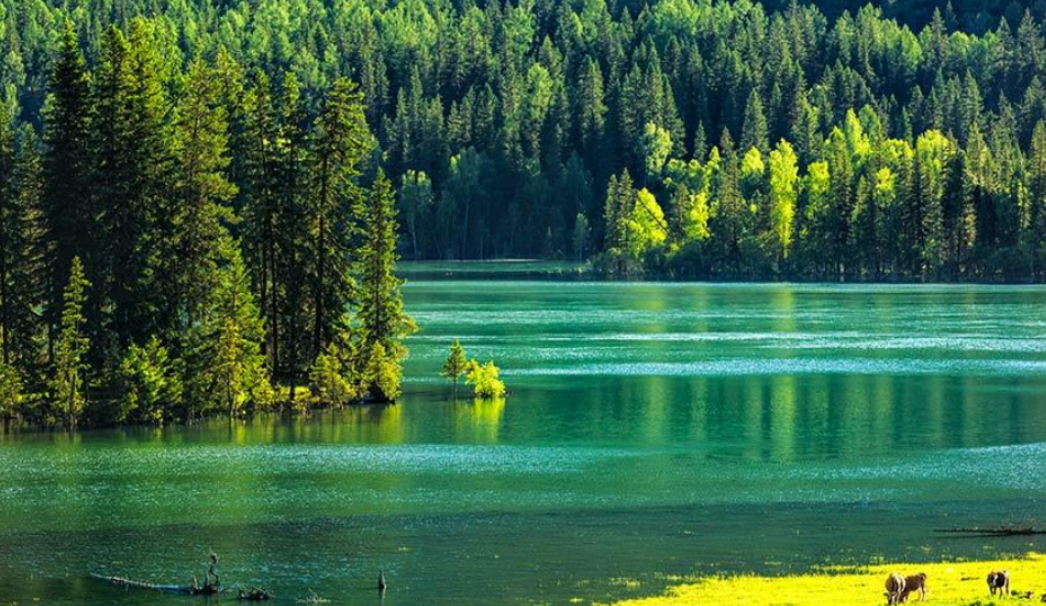 天池|我国的世界奇迹,亦是旅游景点,你都去过几个呢?