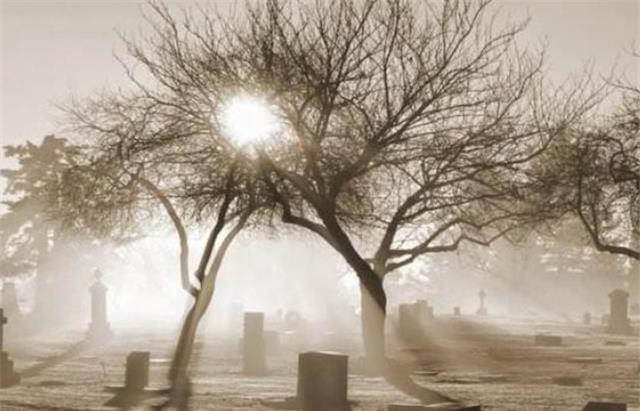 人在死前能看见什么?154名起死回生者,为你揭晓另一个世界