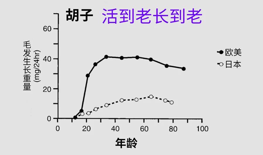 针灸|男人为啥一边秃头,一边长胡子?