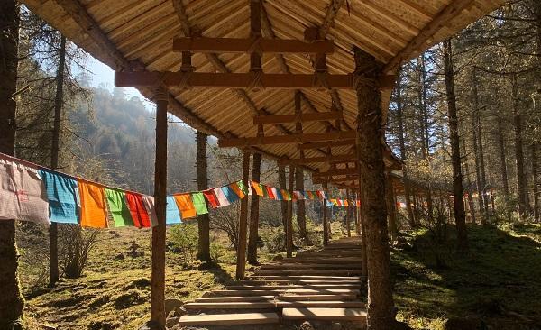 四川省|四川又一避暑胜地走红，风格小众景色讨喜，网友：确实不错