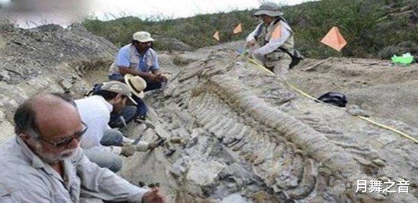 传说中的龙是否真的存在？2亿年前化石揭露真相人类祖先见过真龙