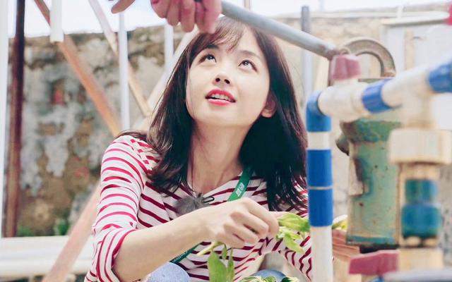 主持人|“小三”风波后,冰冰被雪藏,这4人谁将代替她,成为新收视密码