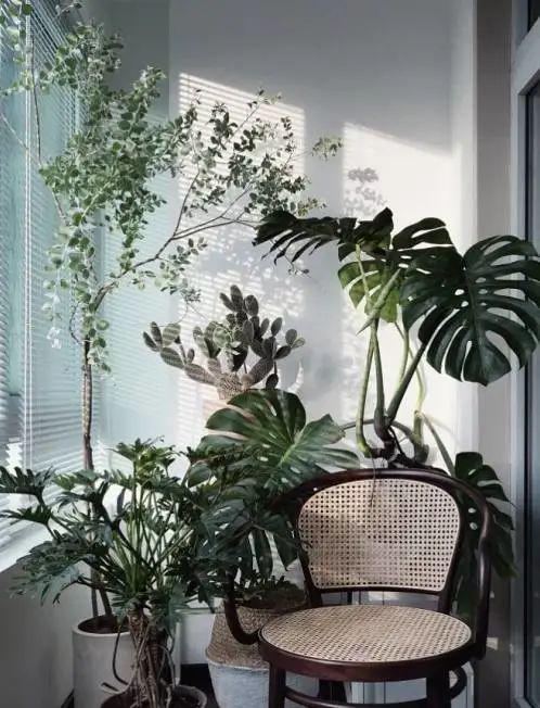 北漂四年,租下50㎡小破屋,花22W爆改复古豪宅范,进屋就被惊艳