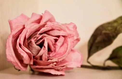 裁员|在生活中，如果遇到一个见不得你好的人时，你该怎么做？