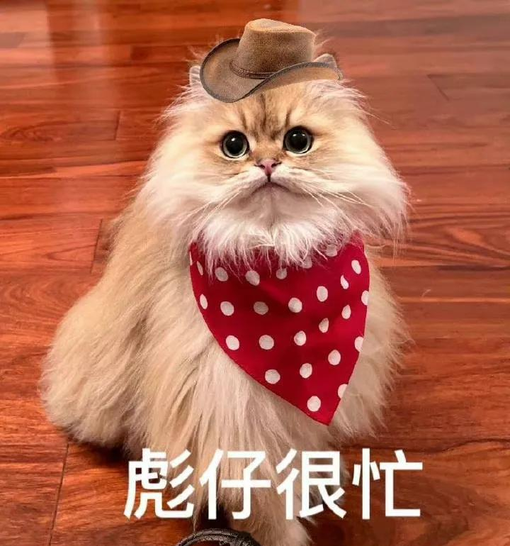 二郎神|娱乐圈吃瓜爆料