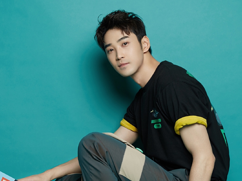 庞瀚辰|庞瀚辰拥有阳光的外表,也具备高潮的演技,却活得非常低调