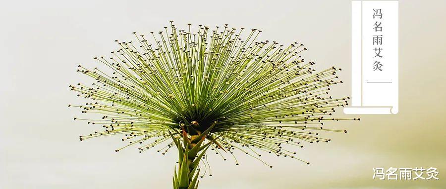 穴位|心脑：常按三个穴位，让你远离心脑血管疾病