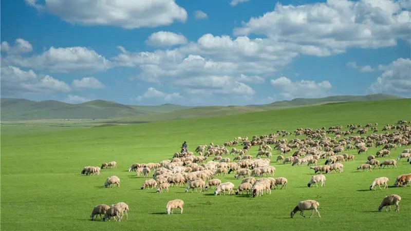 |7月的避暑天堂，8个避暑旅行地，个个美如仙境，你去过几个？