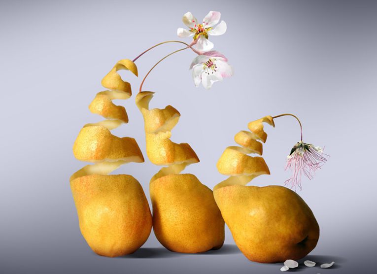 馒头|心理学家:重度失眠症到深度好眠,2个改变就可以轻松入睡