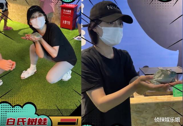 孙俪|邓超孙俪游动物园，娘娘肩扛蜥蜴蛇缠脖子，超哥吓得起鸡皮疙瘩