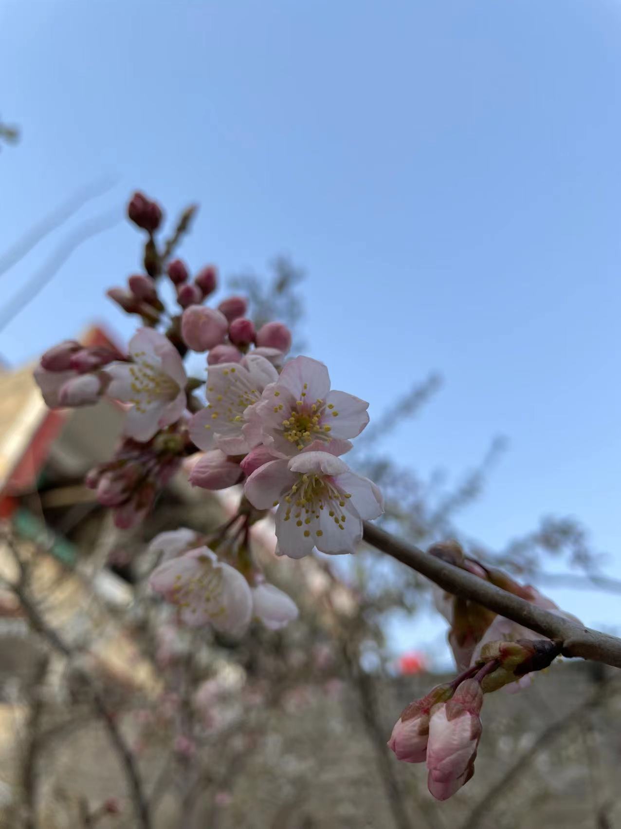 千岛湖镇|分享一些景色