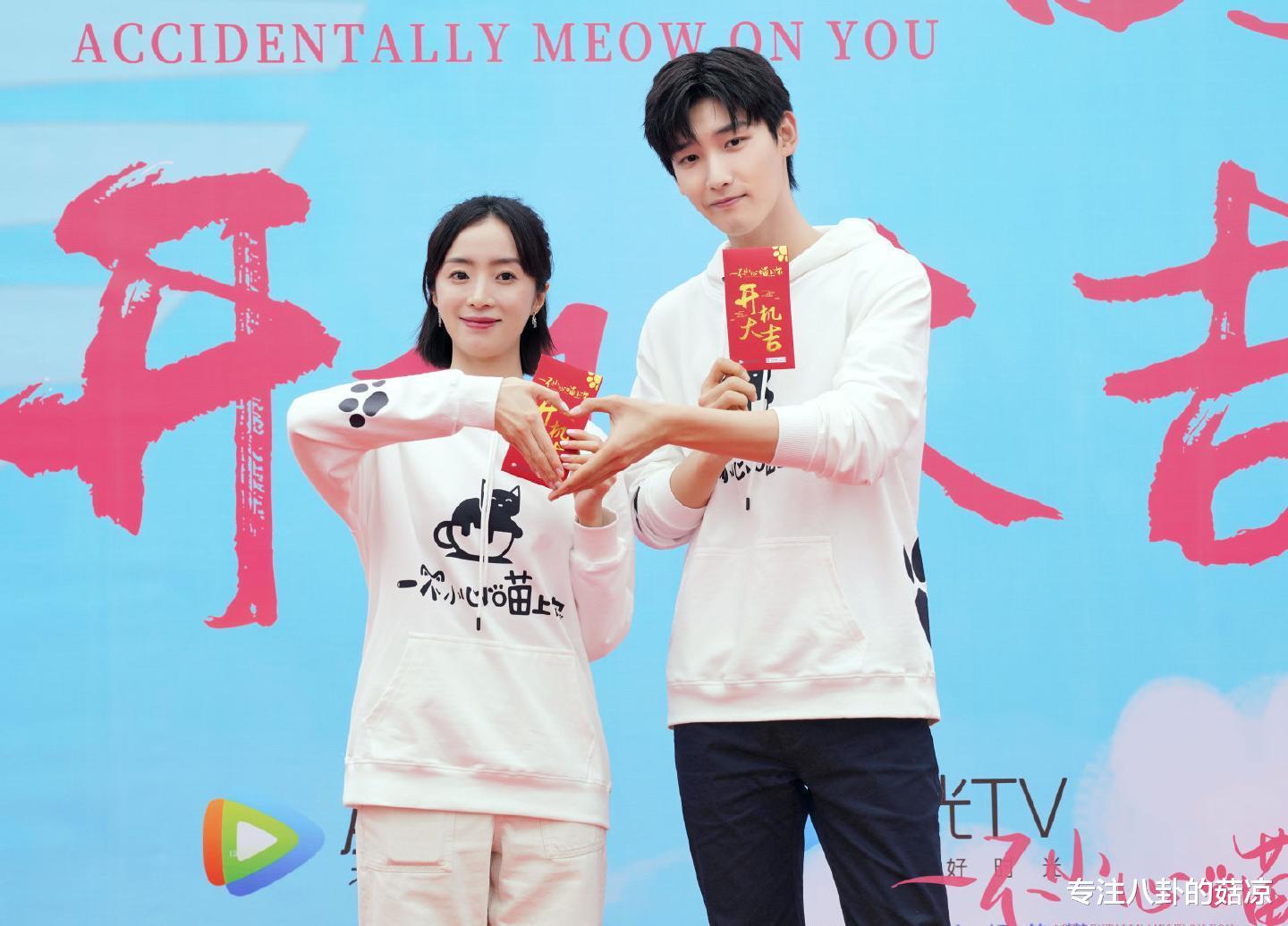 冷面|新甜宠剧将至,元气少女遇上冷面总裁,宠物情缘,入股不亏