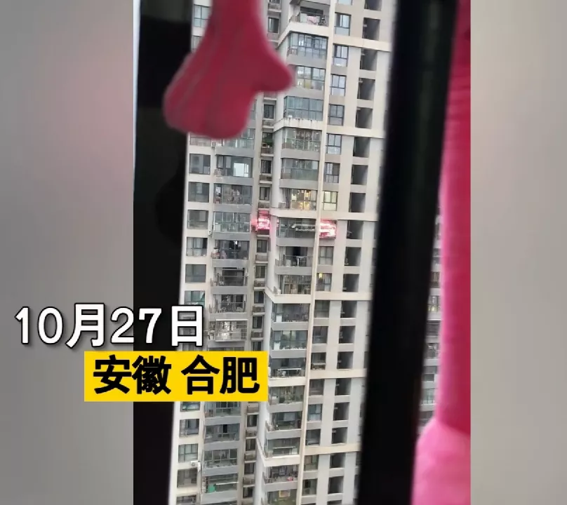 近日,安徽合肥,发生了一件趣事