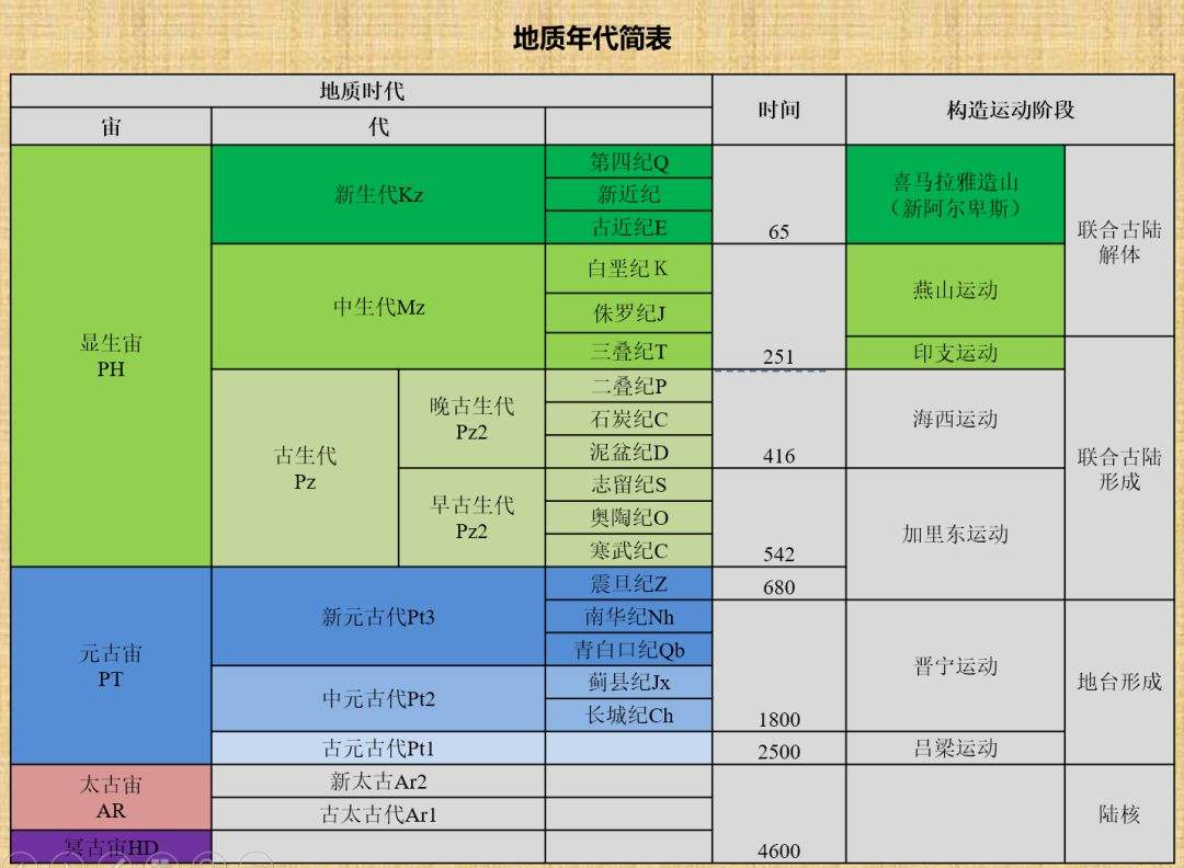 鲨鱼进化悲歌:被其他霸主欺负亿万年的感觉,人类不会懂