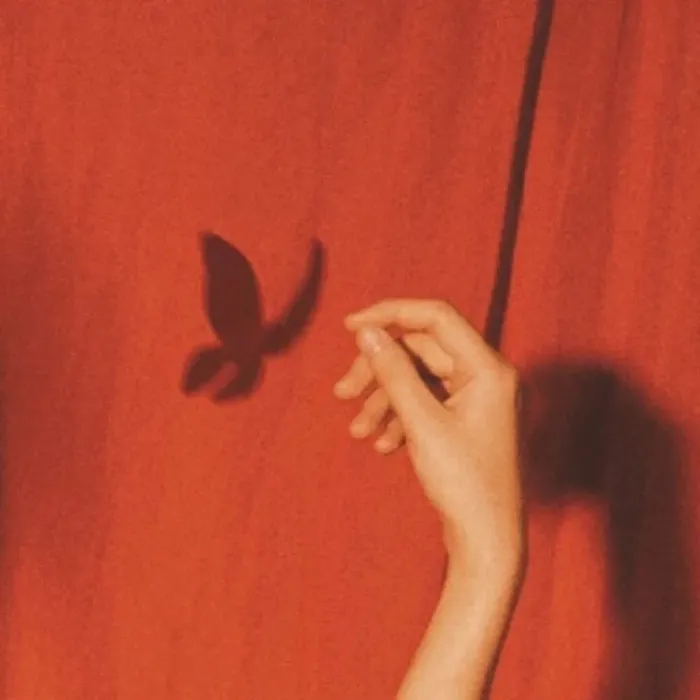 微信|QQ 微信 背景图 | 既然来了,那我就一定要把它做好