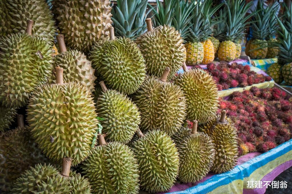互利共赢!菲律宾收获中国228亿美元,“石油”“榴莲”应有尽有