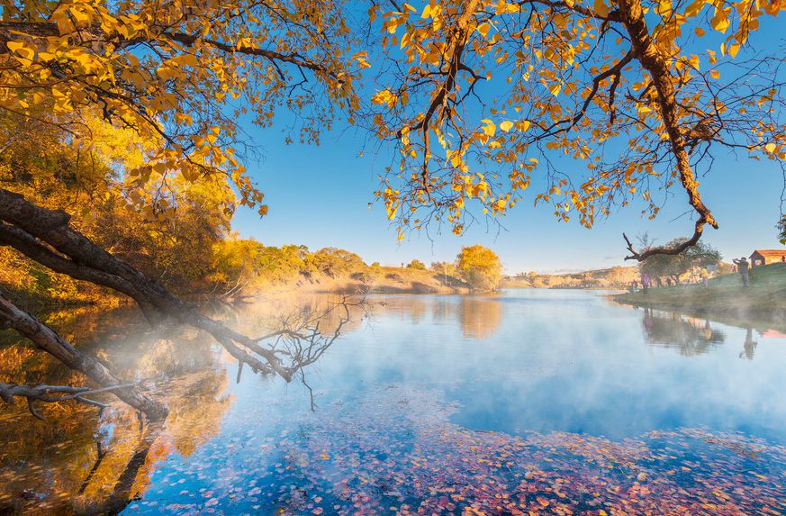 失眠|心理观察：焦虑是成功的绊脚石，每次20分钟，告别失眠远离焦虑