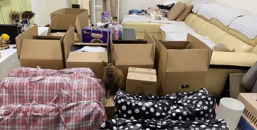 买了只能吃灰的4种家居用品,真是一点用都没有,大家中招了吗?