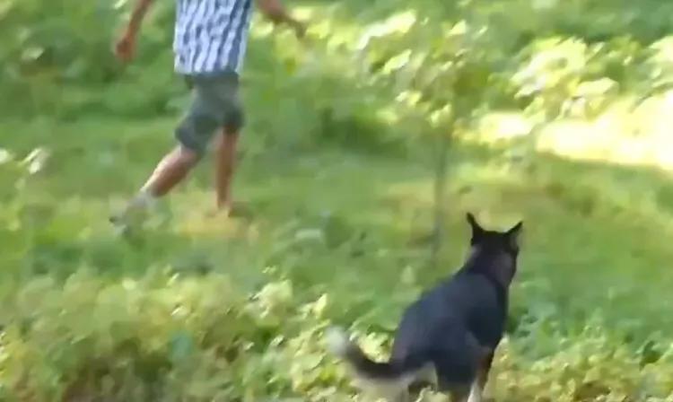 11名群众抓获企图性侵小女孩的男子后,发现男子系B级通缉犯,奖励20万元