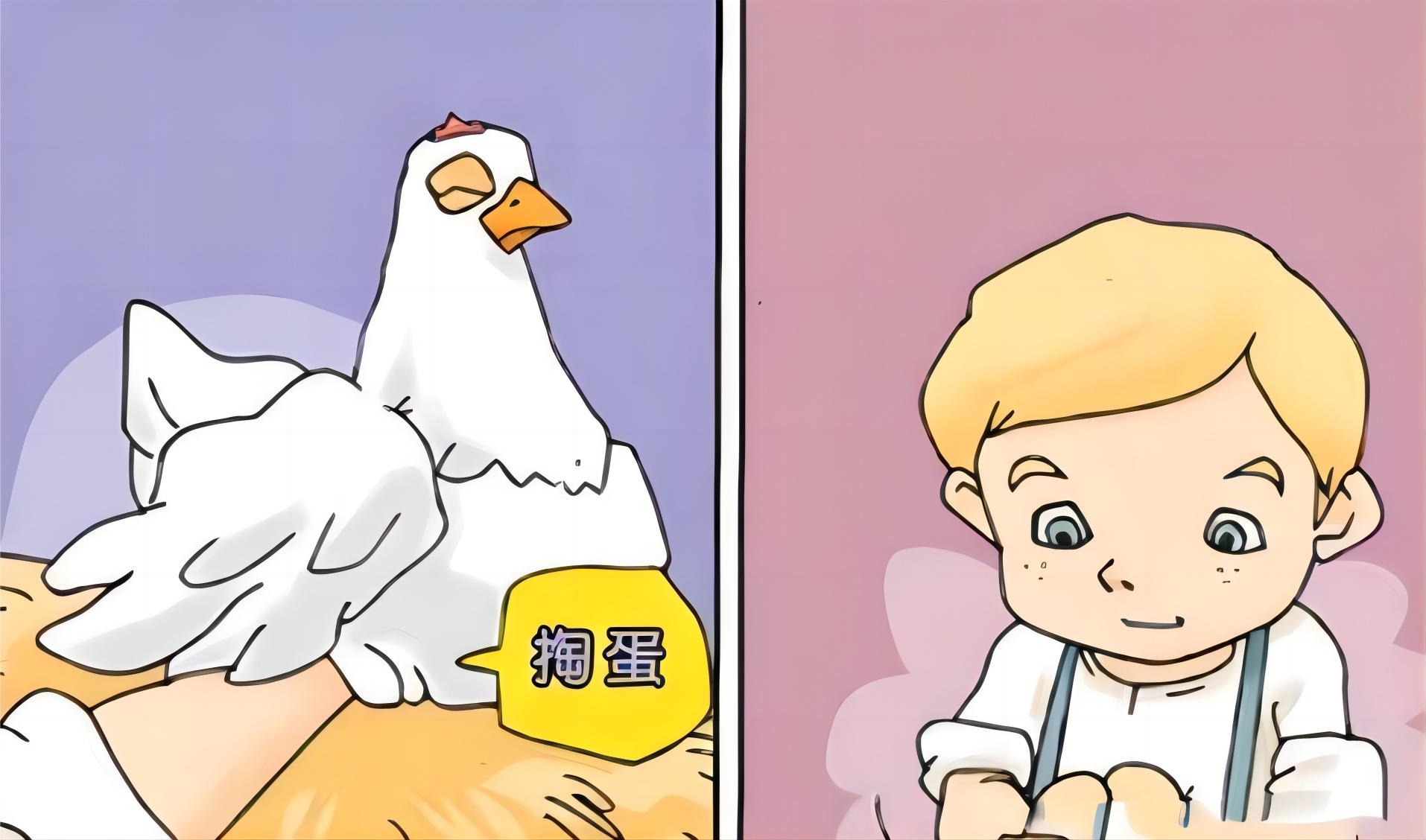 为何鸡365天都在下蛋,而且未受精?人类利用了鸡的bug