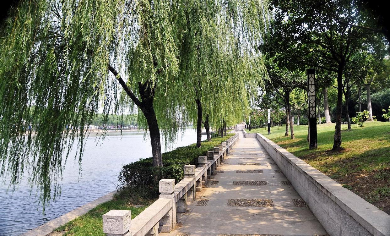 也许是“最奇特”的城市,GDP全国前10,但始终没能列入特大城市