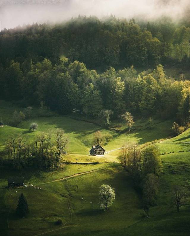 摄影技巧：春天怎么拍才有意境？十招让你立刻开窍！