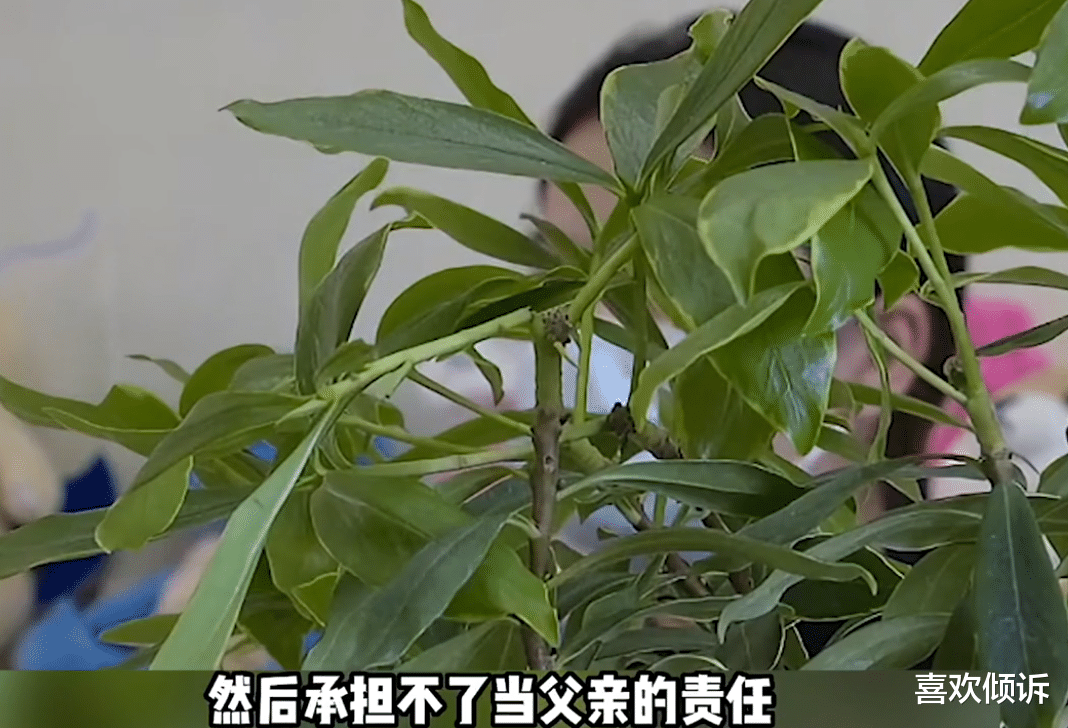 安徽男子出轨生娃:给50万流掉被拒!女方:给我100万