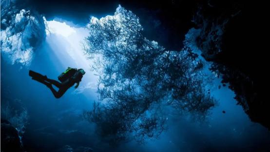 科学家为什么宁愿探索太空，也不研究深海？深海恐怖在何处？