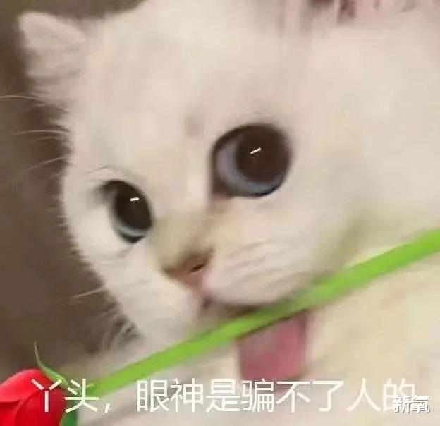 紧身牛仔裤 同样是亲姐妹，颜值差距到底能有多大？