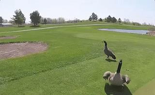 骨质疏松|当听到指甲划黑板的声音时就狂躁,为什么?原因大多数人都没想到