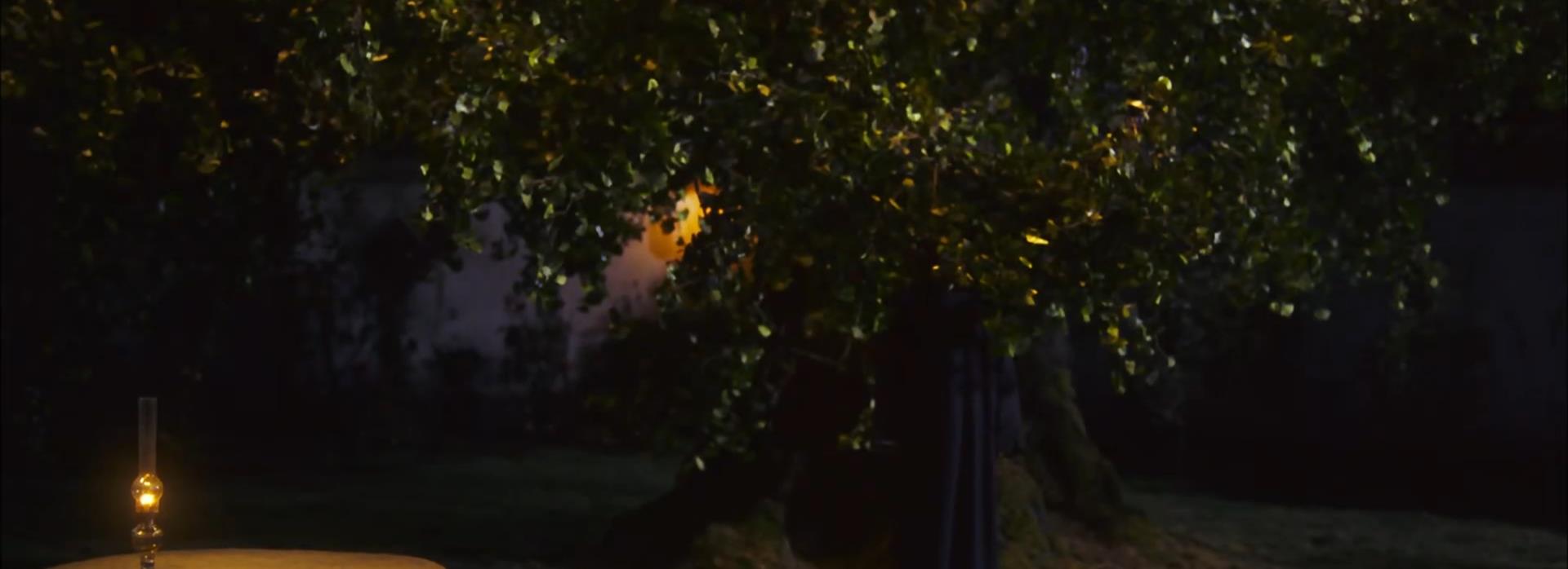 俞飞鸿|俞飞鸿借钱拍摄《爱有来生》,大胆启用段奕宏,仅收获200万票房