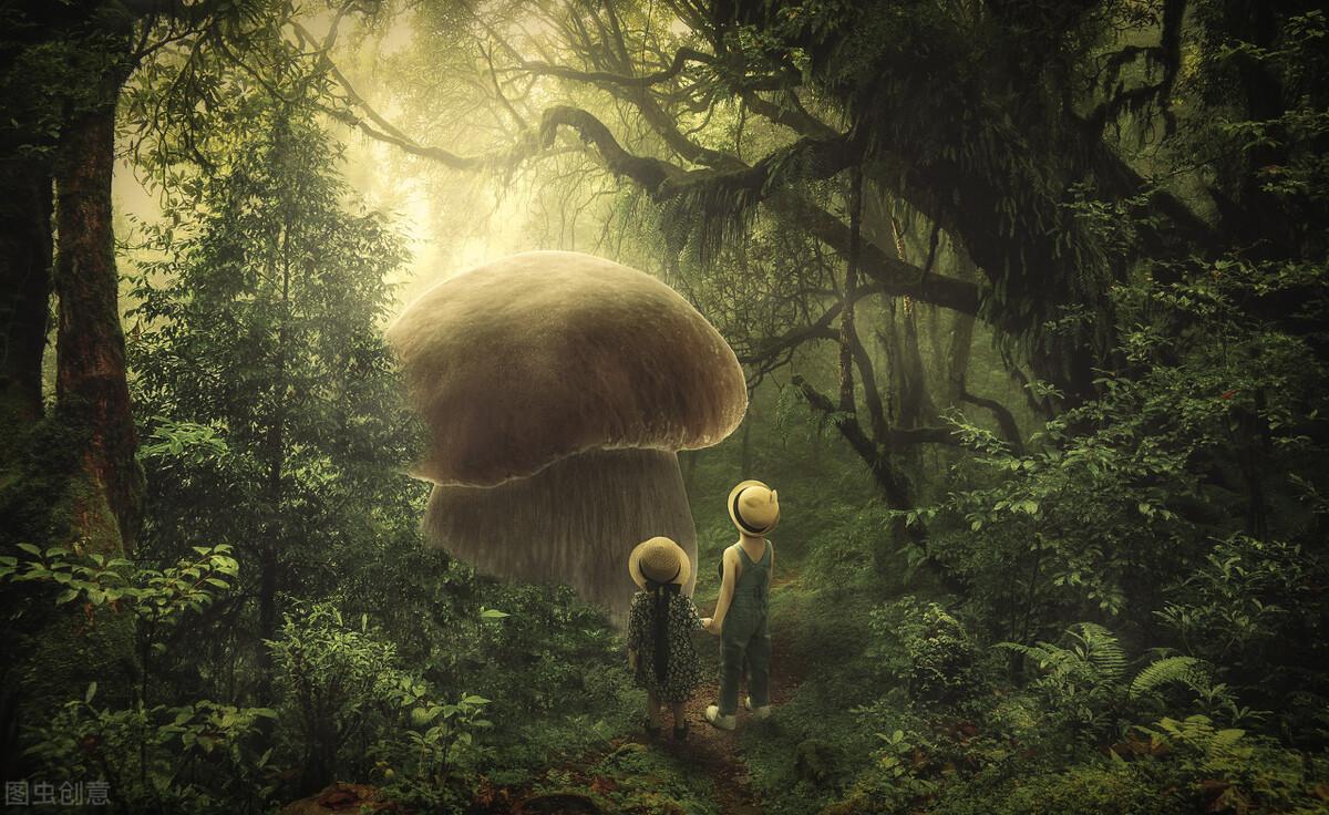 世界上最大的生物是什么?180吨重的蓝鲸根本排不上号!